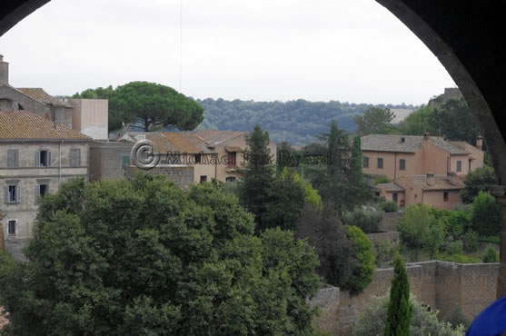 TuscaniaViews